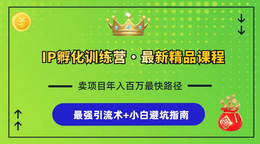 IP孵化训练营，知识付费全流程+最强引流术+小白避坑指南-优创项目网