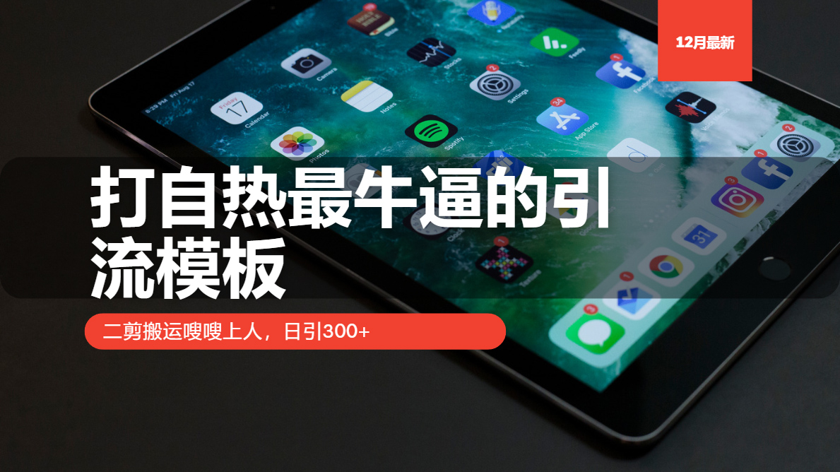 打自热最牛逼的引流模板，二剪搬运嗖嗖上人，日引300+-优创项目网