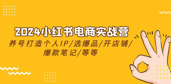 2024小红书电商实战营，养号打造IP/选爆品/开店铺/爆款笔记/等等(24节)-优创项目网