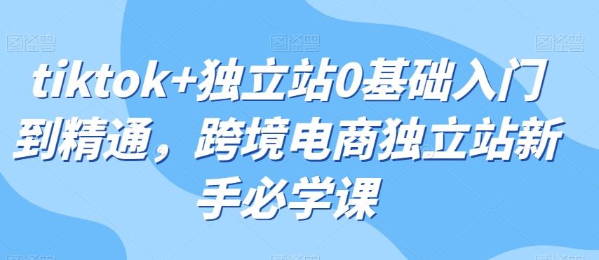 tiktok+独立站0基础入门到精通，跨境电商独立站新手必学课-优创项目网