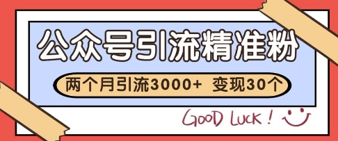 公众号精准粉引流玩法，2个月3000+精准粉，变现30个W【揭秘】-优创项目网