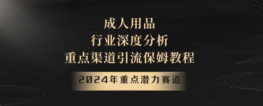 2024年重点潜力赛道，成人用品行业深度分析，重点渠道引流保姆教程【揭秘】-优创项目网