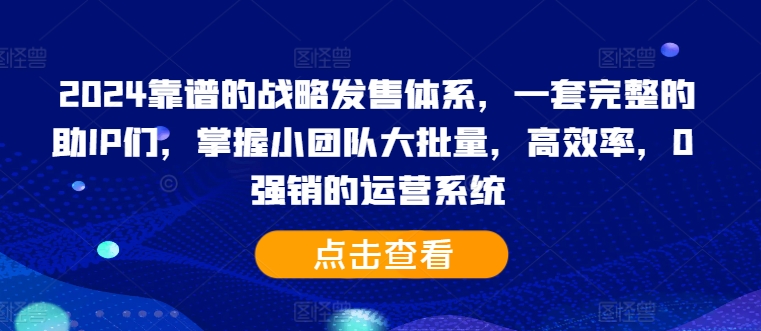 2024靠谱的战略发售体系，一套完整的助IP们，掌握小团队大批量，高效率，0 强销的运营系统-优创项目网