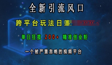 全新引流风口，跨平台玩法日入上k，单日狂揽200+精准创业粉，一个被严重忽略的视频平台-优创项目网