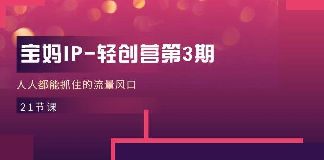 宝妈IP-轻创营第3期，人人都能抓住的流量风口(21节课-优创项目网