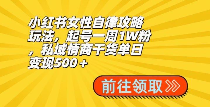 小红书女性自律攻略玩法，起号一周1W粉，私域情商干货单日变现500＋-优创项目网