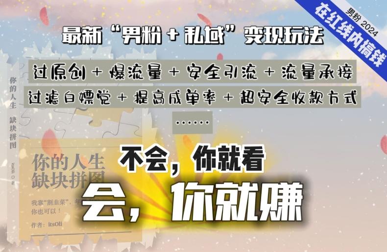 2024，“男粉+私域”还是最耐造、最赚、最轻松、最愉快的变现方式【揭秘】-优创项目网