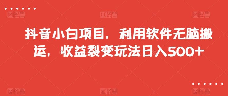 抖音小白项目，利用软件无脑搬运，收益裂变玩法日入500+【揭秘】-优创项目网