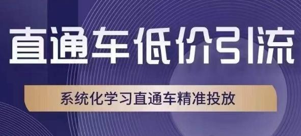 直通车低价引流课，系统化学习直通车精准投放-优创项目网