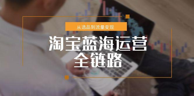 淘宝蓝海运营全链路，从选品到流量变现，小类目突围完整方案-优创项目网