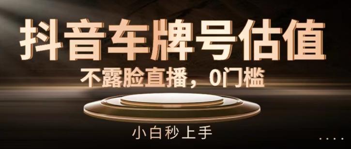 抖音车牌号估值，不露脸直播，0门槛，小白秒上手【揭秘】-优创项目网