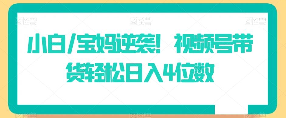 小白/宝妈逆袭！视频号带货轻松日入4位数【揭秘】-优创项目网