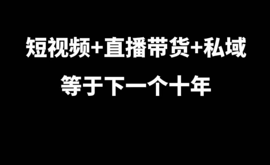 短视频+直播带货+私域等于下一个十年，大佬7年实战经验总结-优创项目网