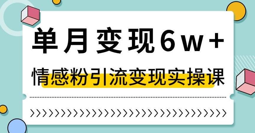 单月变现6W+，抖音情感粉引流变现实操课，小白可做，轻松上手，独家赛道【揭秘】-优创项目网