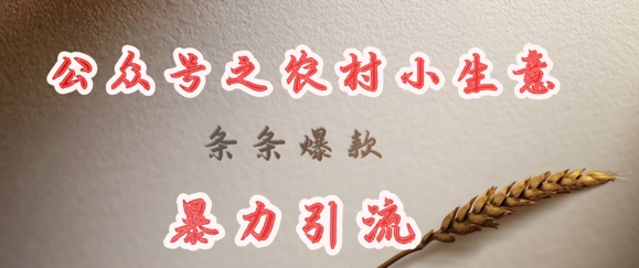 deepseek写农村小项目，条条爆款，暴力引流-优创项目网