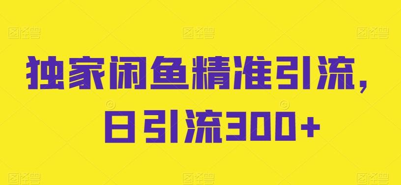 独家闲鱼精准引流，日引流300+【揭秘】-优创项目网