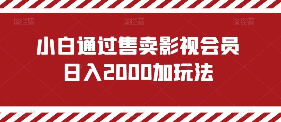 小白通过售卖影视会员日入2000加玩法-优创项目网