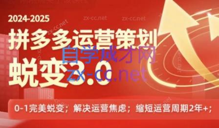 大力老师·2024拼多多运营策略蜕变3.0-优创项目网