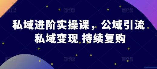 私域进阶实操课，公域引流 私域变现 持续复购-优创项目网