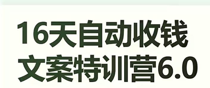 16天自动收钱文案特训营6.0，学会儿每天自动咔咔收钱-优创项目网