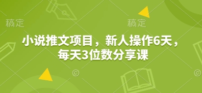 小说推文项目，新人操作6天，每天3位数分享课-优创项目网