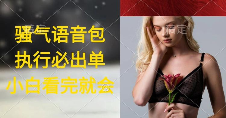 (9589期)执行就出单，日入2000+，超火骚气语音包，小白看完课程就能马上实操-优创项目网