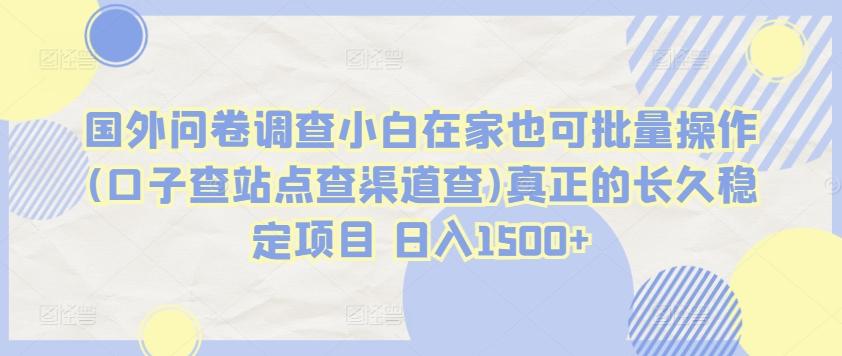 国外问卷调查小白在家也可批量操作(口子查站点查渠道查)真正的长久稳定项目 日入1500+【揭秘】-优创项目网