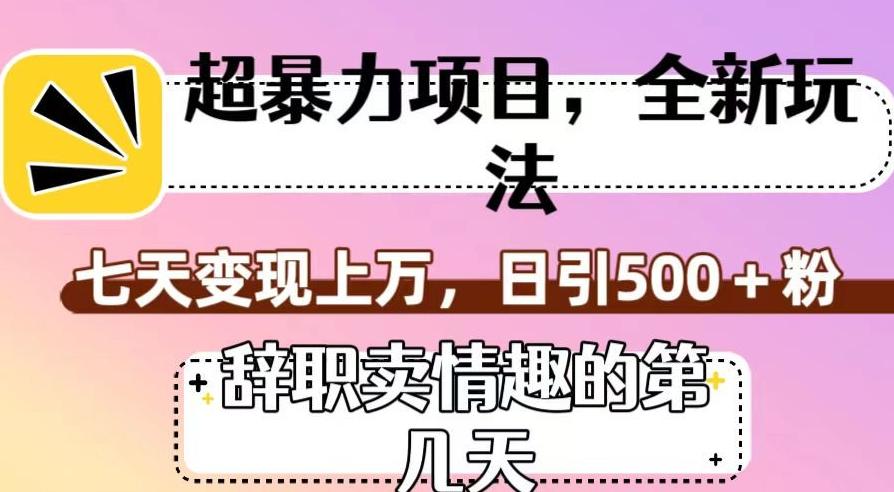 超暴利项目，全新玩法（辞职卖情趣的第几天），七天变现上万，日引500+粉【揭秘】-优创项目网