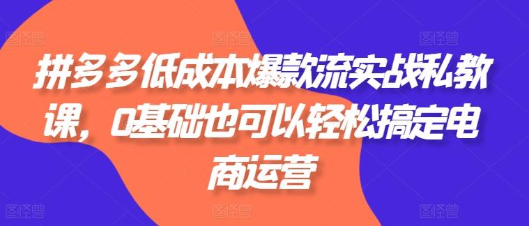 拼多多低成本爆款流实战私教课，0基础也可以轻松搞定电商运营-优创项目网