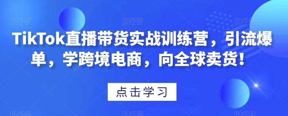 TikTok直播带货实战训练营，引流爆单，学跨境电商，向全球卖货！-优创项目网