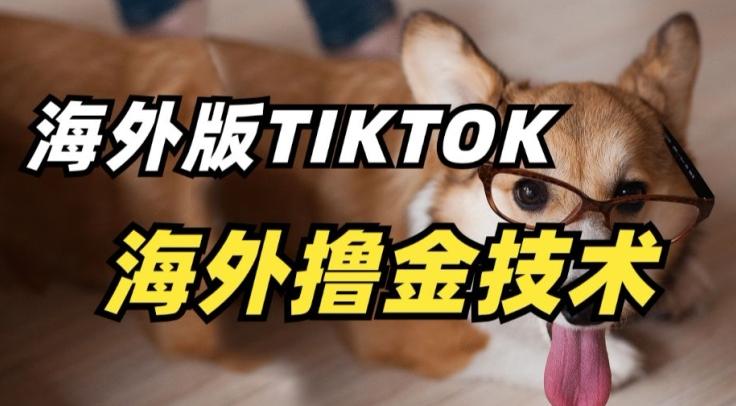 抖音海外版tiktok撸金技术，这个风口行业，赚钱真的不难【揭秘】-优创项目网