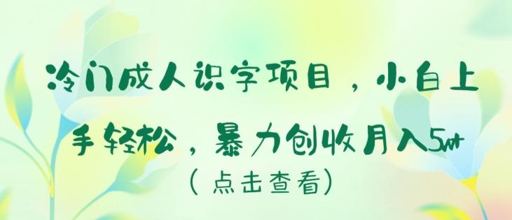 冷门成人识字项目，小白上手轻松，暴力创收月入5w+【揭秘】-优创项目网