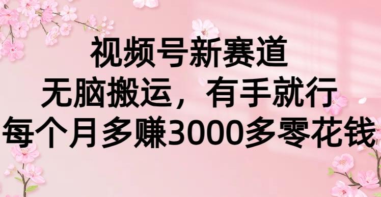 (9278期)视频号新赛道，无脑搬运，有手就行，每个月多赚3000多零花钱-优创项目网