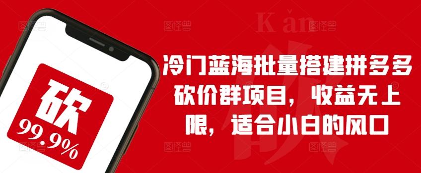 冷门蓝海批量搭建拼多多砍价群项目，收益无上限，适合小白的风口【揭秘】-优创项目网