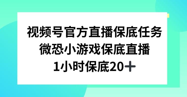 视频号直播任务，微恐小游戏，1小时20+【揭秘】-优创项目网