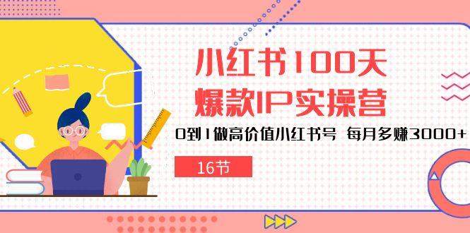 小红书100天-爆款IP实操营，0到1做高价值小红书号 每月多赚3000+(16节-优创项目网