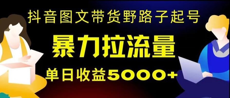 抖音图文带货暴力起号，单日收益5000+，野路子玩法，简单易上手，一部手机即可【揭秘】-优创项目网