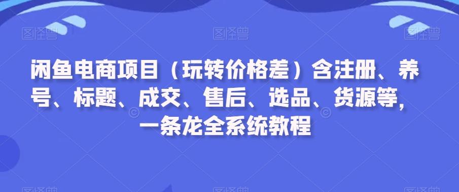 闲鱼电商项目(玩转价格差)含注册、养号、标题、成交、售后、选品、货源等，一条龙全系统教程-优创项目网