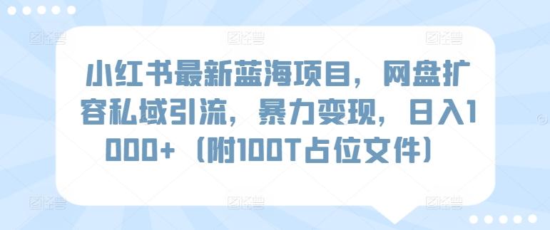 小红书最新蓝海项目，网盘扩容私域引流，暴力变现，日入1000+(附100T占位文件)【揭秘】-优创项目网