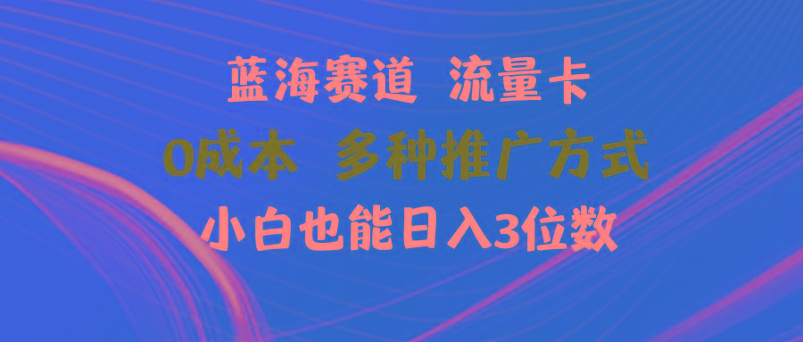 蓝海赛道 流量卡 0成本 小白也能日入三位数-优创项目网