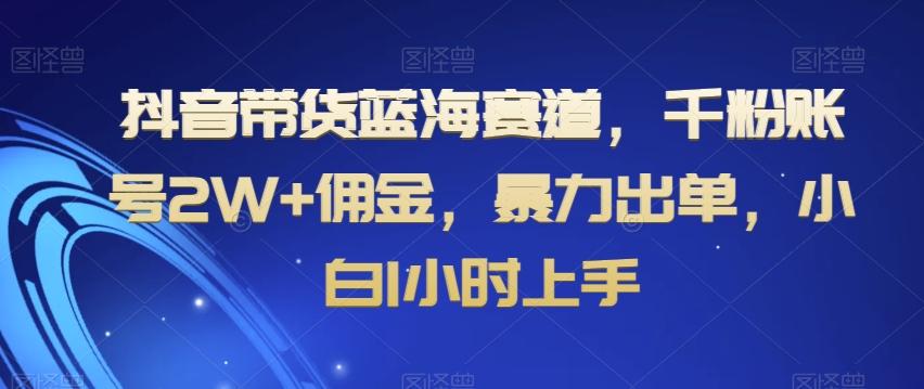 抖音带货蓝海赛道，千粉账号2W+佣金，暴力出单，小白1小时上手【揭秘】-优创项目网