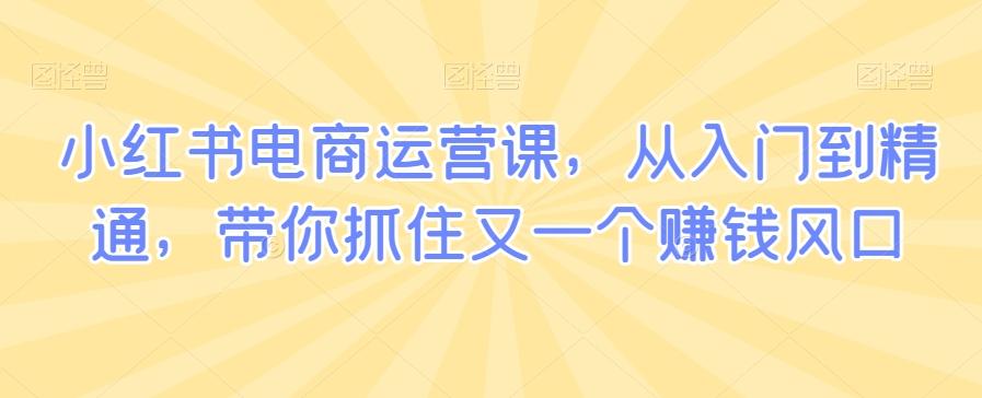 小红书电商运营课，从入门到精通，带你抓住又一个赚钱风口-优创项目网