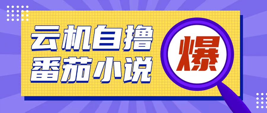 首发云手机自撸小说玩法，10块钱成本可撸200+收益操作简单【揭秘】-优创项目网