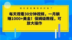 每天观看30分钟视频，一月躺赚1000+美金！保姆级教程，可放大操作【揭秘】-优创项目网