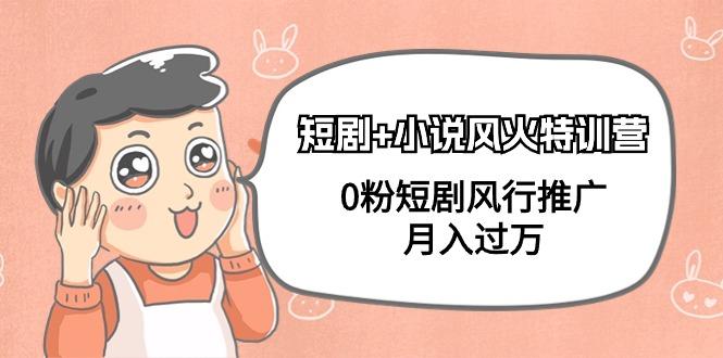 (9374期)短剧+小说风火特训营，0粉短剧风行推广，月入过万(102节课)-优创项目网