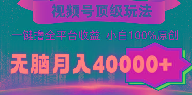 (9281期)视频号顶级玩法，无脑月入40000+，一键撸全平台收益，纯小白也能100%原创-优创项目网