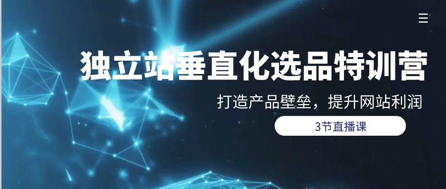 (9925期)独立站-垂直化选品训练营，打造产品壁垒，提升网站利润(3节直播课)-优创项目网