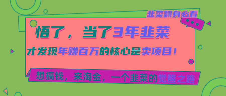 悟了，当了3年韭菜，才发现网赚圈年赚100万的核心是卖项目，含泪分享！-优创项目网
