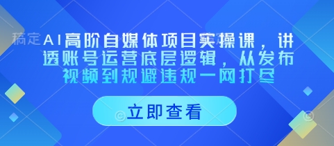 AI高阶自媒体项目实操课，讲透账号运营底层逻辑，从发布视频到规避违规一网打尽-优创项目网
