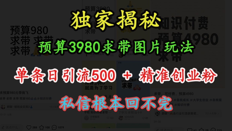 预算3980求带 图片玩法，单条日引流500+精准创业粉，私信根本回不完-优创项目网